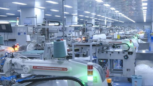 聚力建支点 实战开门红丨咸宁崇阳 '保姆式'服务全流程助力装潢装饰工程企业发展